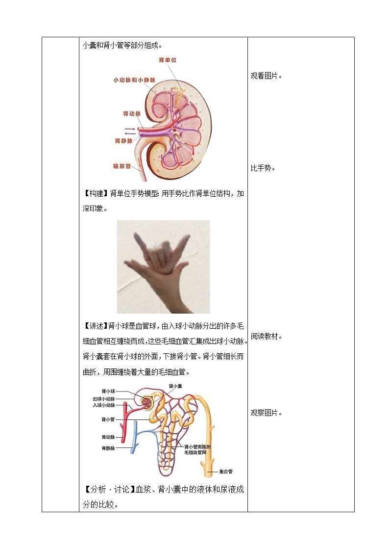 4.5 人体内废物的排出(教学设计)-2024-2025学年人教版(2024)生物七年级下册第3页