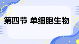 初中  生物  人教版（2024）  七年级上册（2024） 第四节 单细胞生物 课件