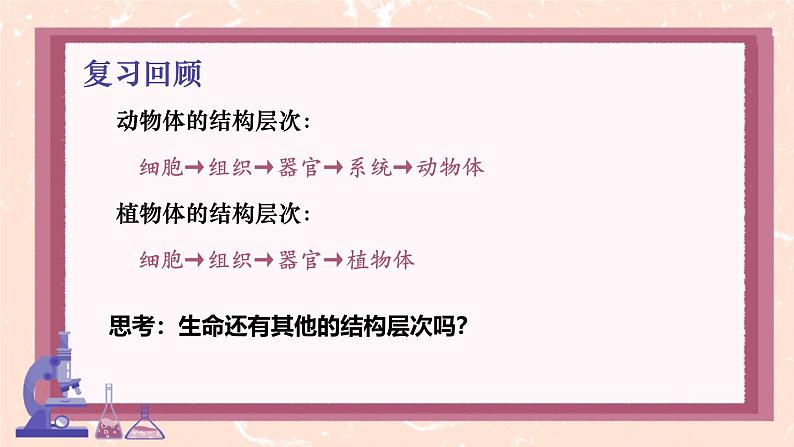 初中 生物 人教版(2024) 七年级上册(2024) 第四节 单细胞生物 课件第2页