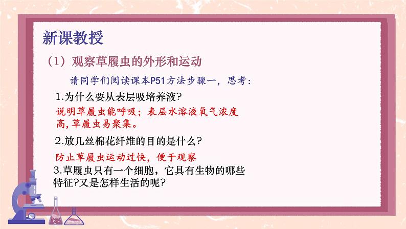 初中 生物 人教版(2024) 七年级上册(2024) 第四节 单细胞生物 课件第7页
