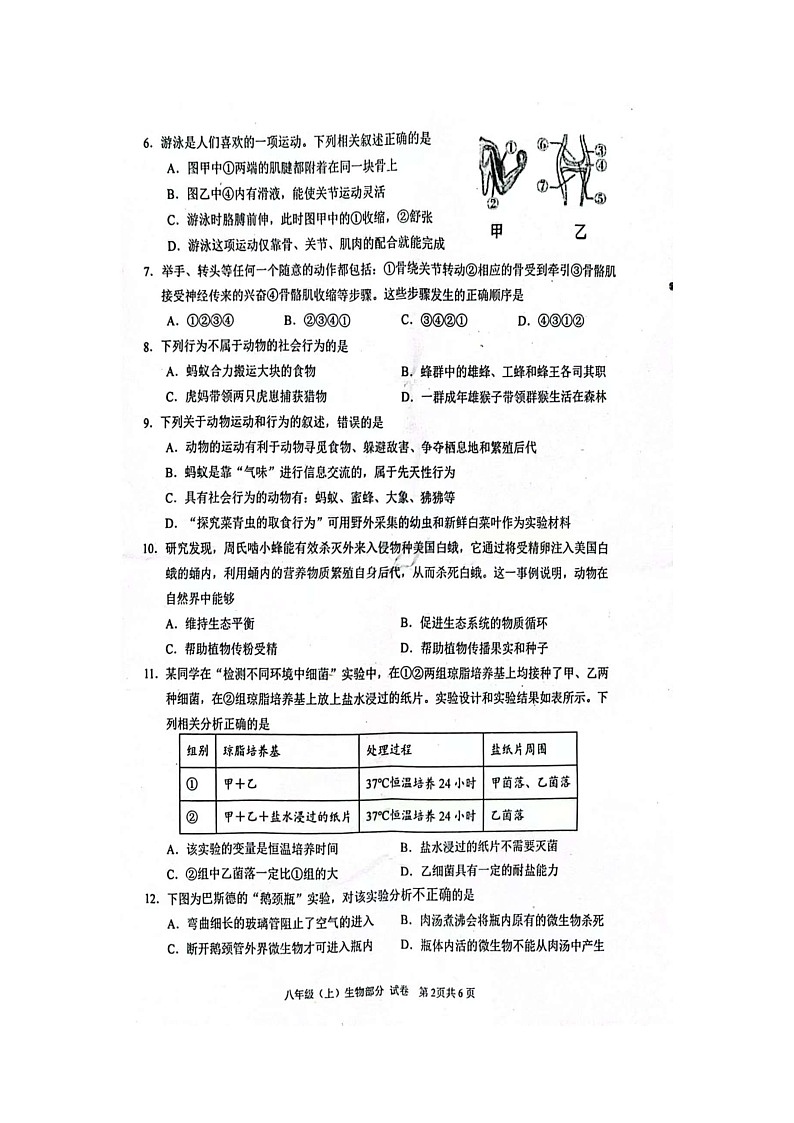 四川省眉山市仁寿县2024--2025学年八年级上学期期末教学质量监测生物试题第2页