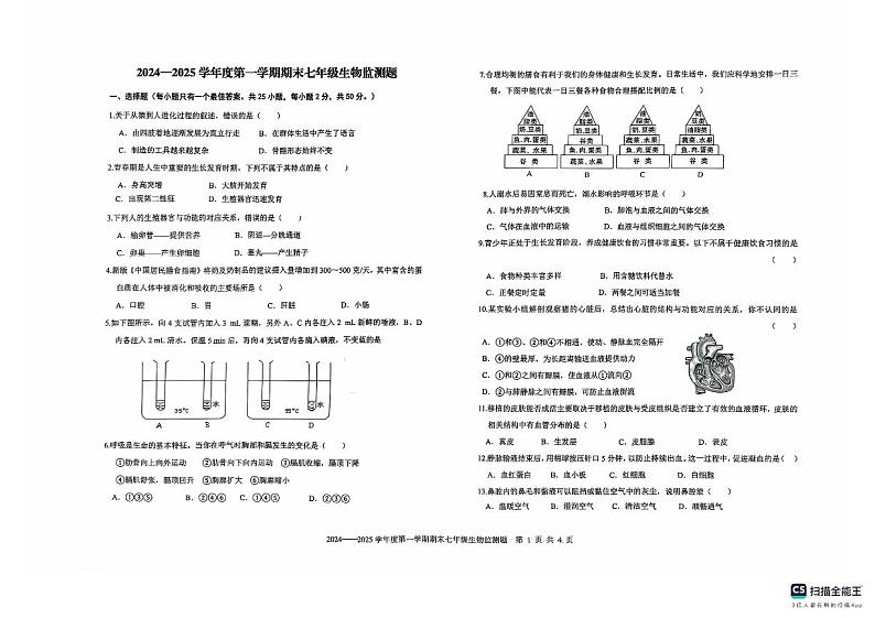 山东省烟台市经济技术开发区2024_2025学年七年级上学期期末生物试题第1页