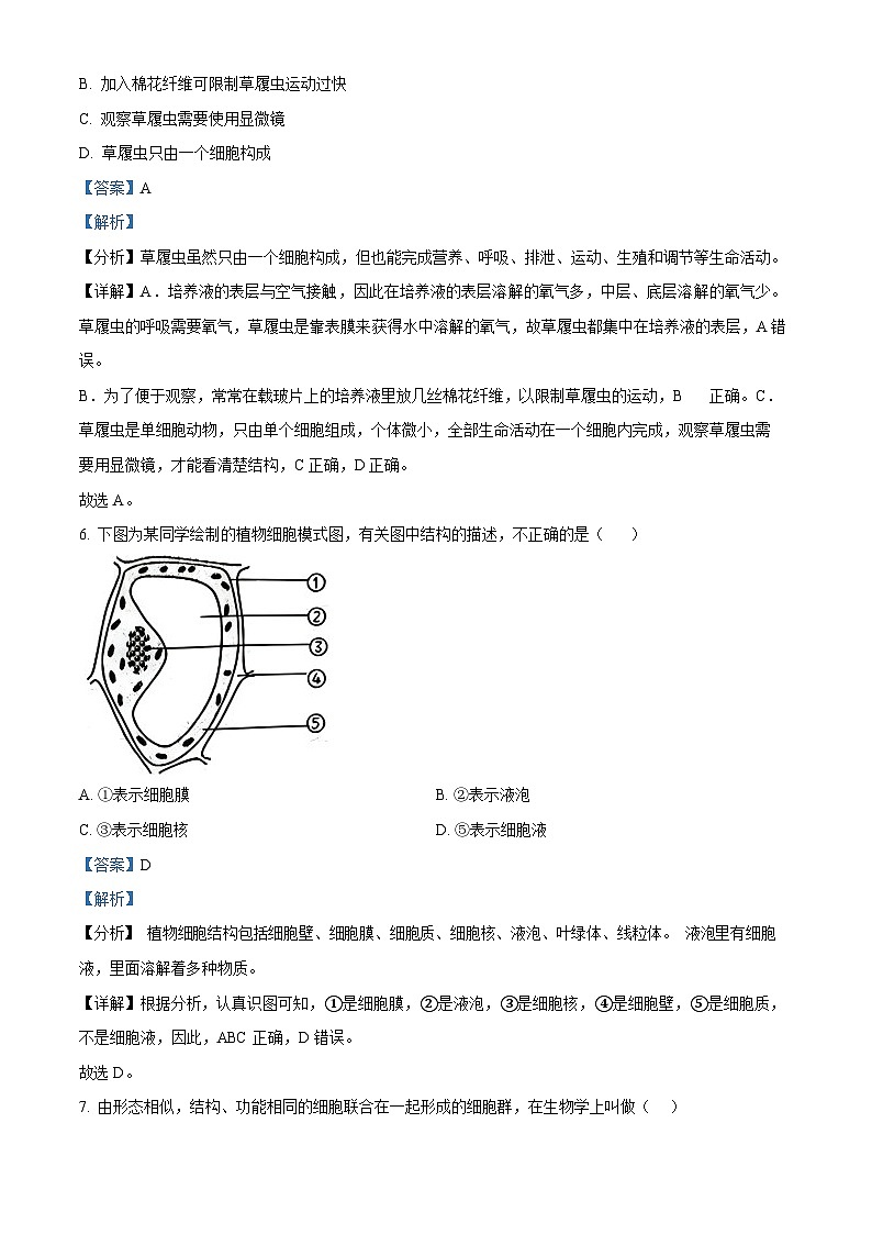 广东省广州市黄埔区2023-2024学年七年级上学期期末生物试题(答案)第3页