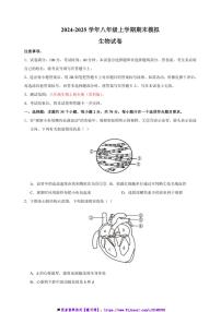 2024～2025学年八年级上生物期末模拟试卷(含解析)