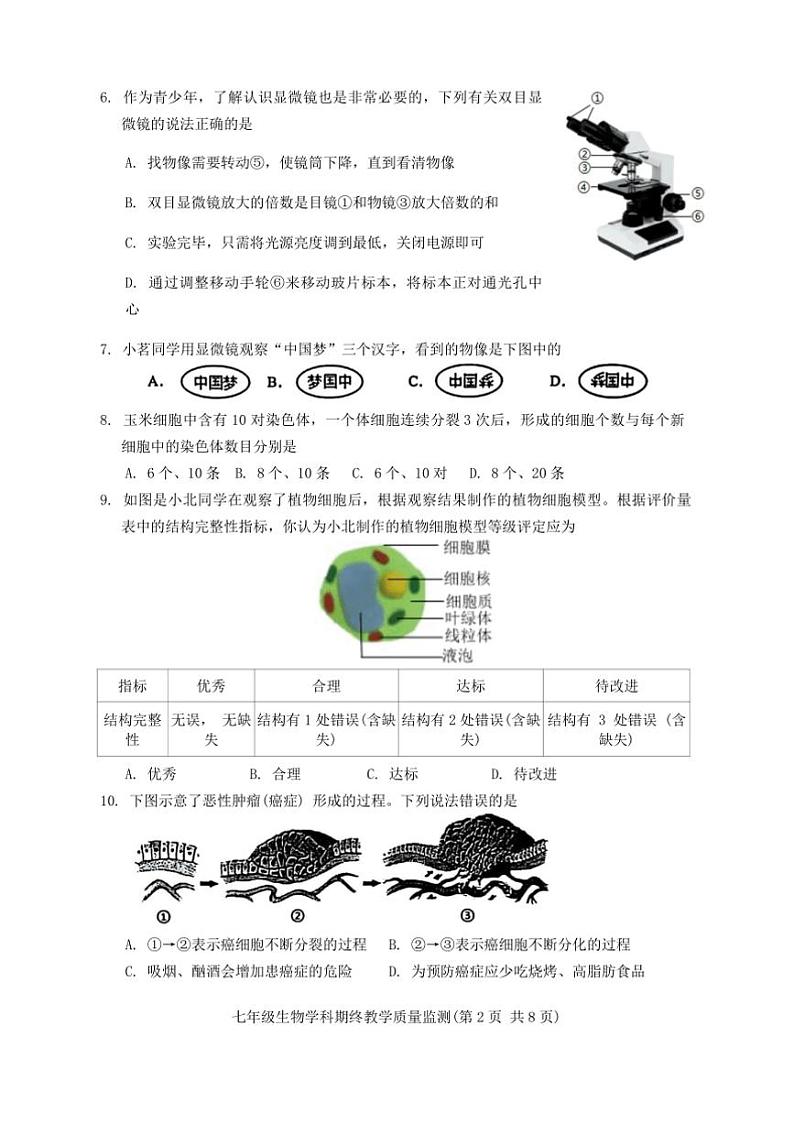 2024~2025学年广东省揭阳市普宁市七年级上期末生物试卷(含答案)第2页