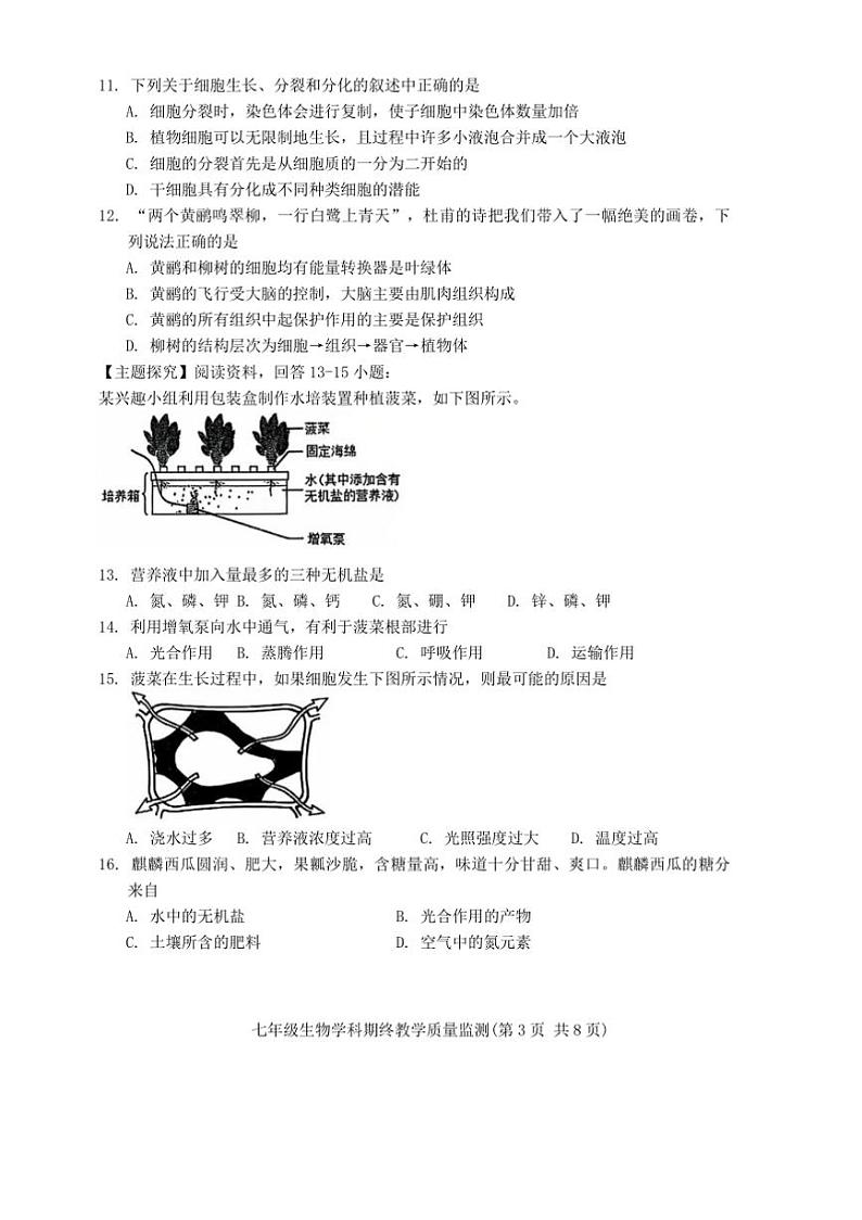 2024~2025学年广东省揭阳市普宁市七年级上期末生物试卷(含答案)第3页