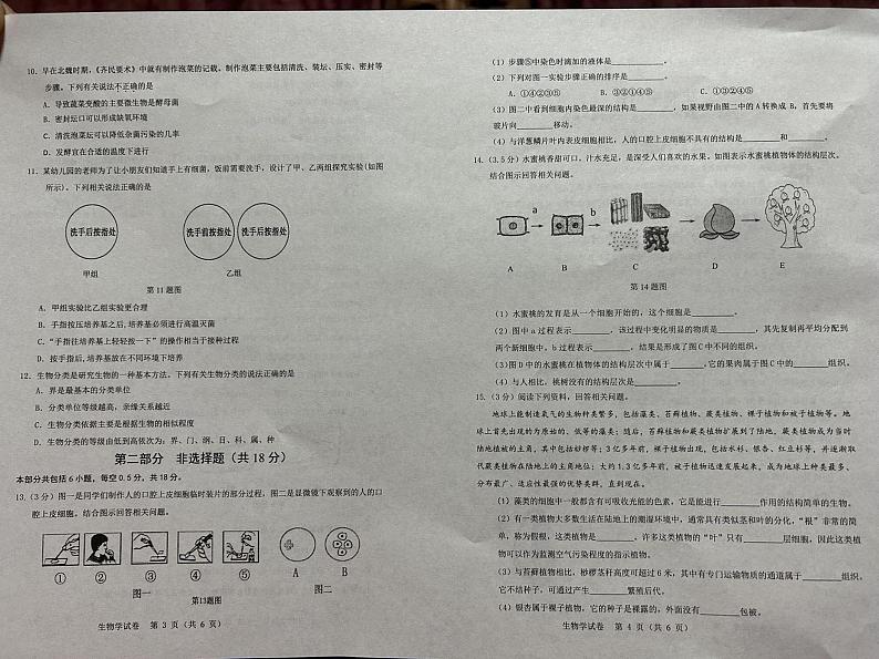 辽宁省营口市盖州市2024-2025学年七年级上学期1月期末生物试题第2页