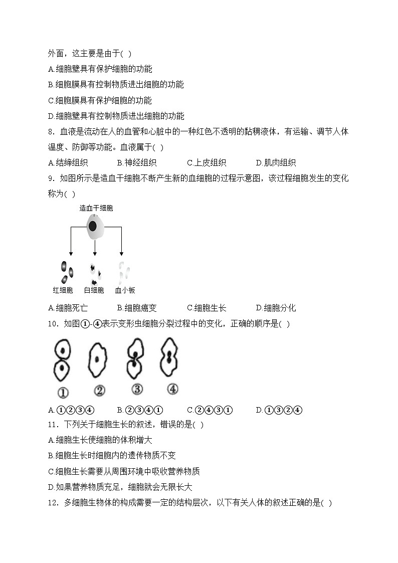 河南省周口市沈丘县中英文学校、志远中学2024-2025学年七年级上学期12月月考生物试卷(含答案)第2页