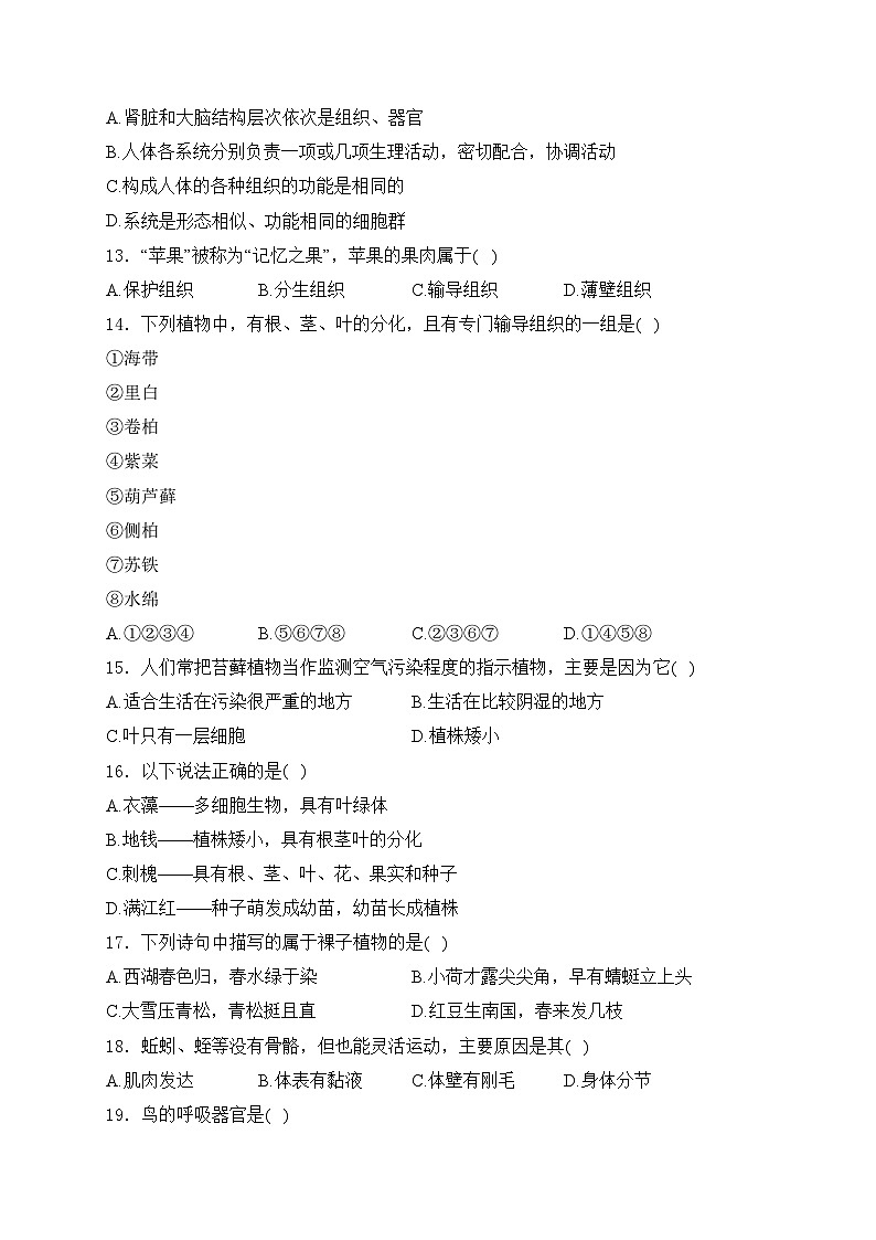 河南省周口市沈丘县中英文学校、志远中学2024-2025学年七年级上学期12月月考生物试卷(含答案)第3页