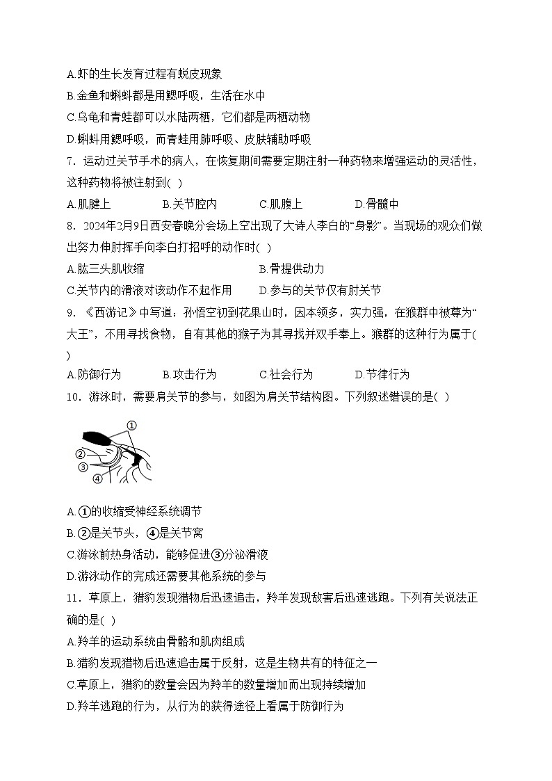 湖南省十三市州2024-2025学年八年级上学期12月月考生物试卷(含答案)第2页