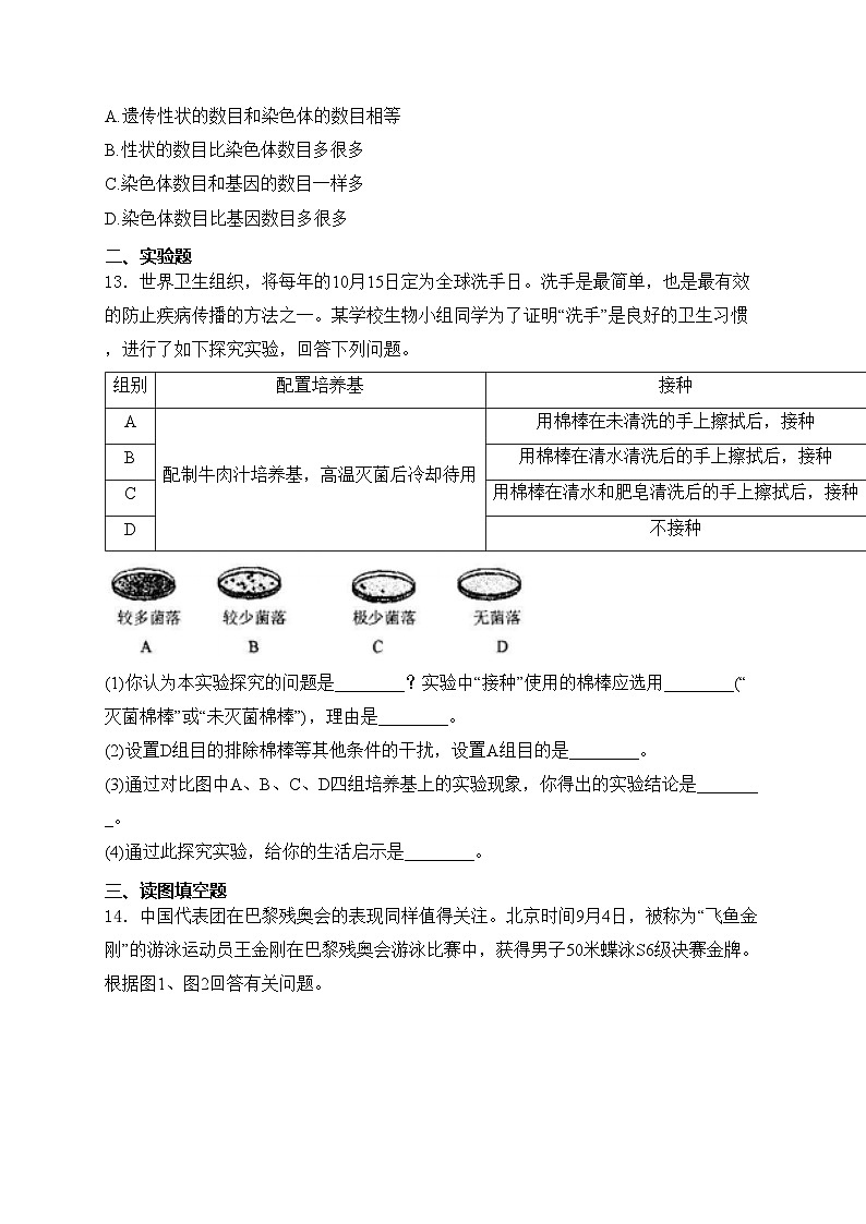 辽宁省抚顺市2024-2025学年八年级上学期期末生物试卷(含答案)第3页