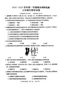 2024-2025学年河南省开封市八年级上学期期末生物试卷