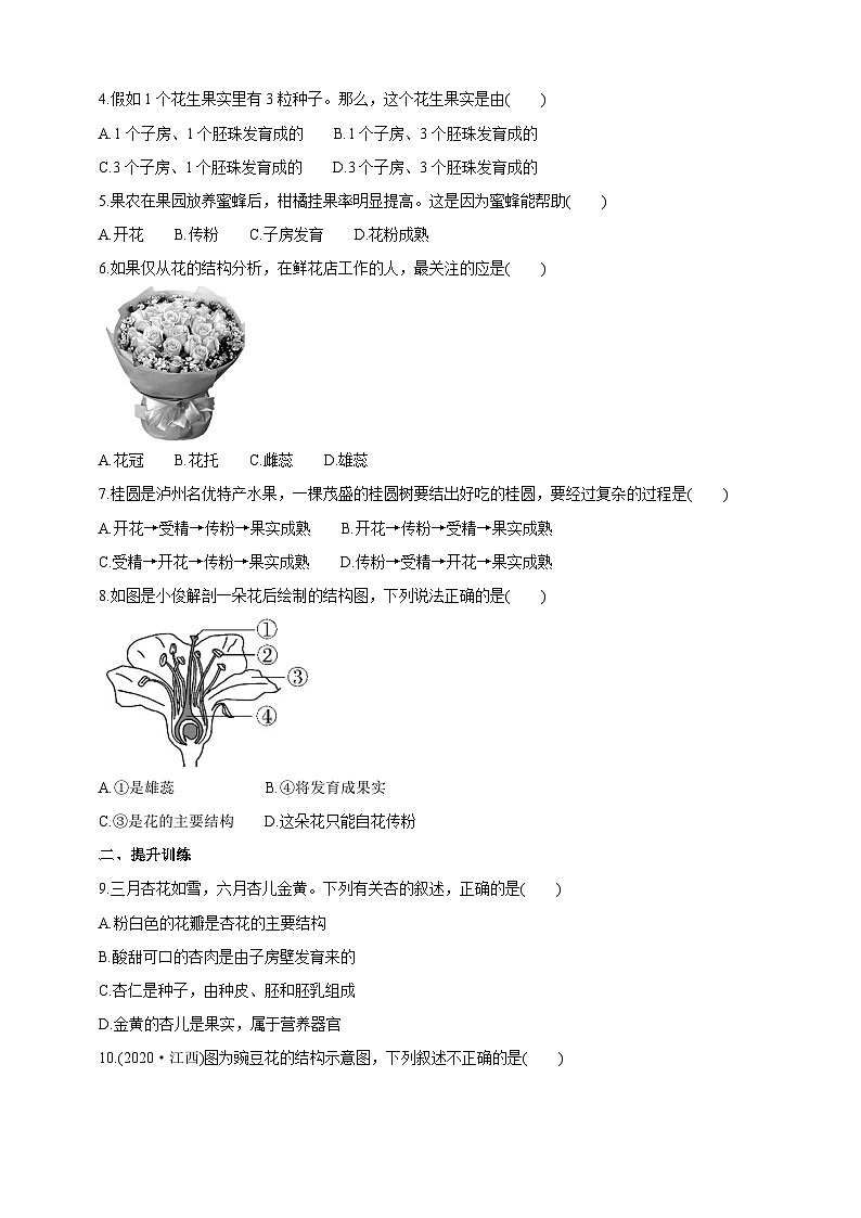 冀少版生物八下6.1.1.1 被子植物的生殖《有性生殖》學(xué)案第3頁