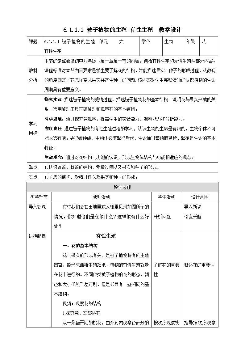 冀教版生物八下 6.1.1.1 被子植物的生殖《有性生殖》 教案第1頁