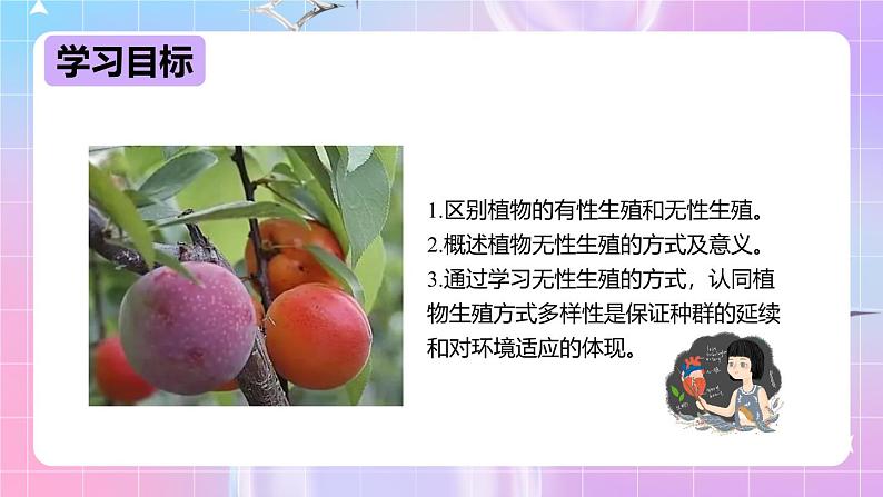 冀少版生物八下6.1.1.2 被子植物的生殖《无性生殖》 课件第2页
