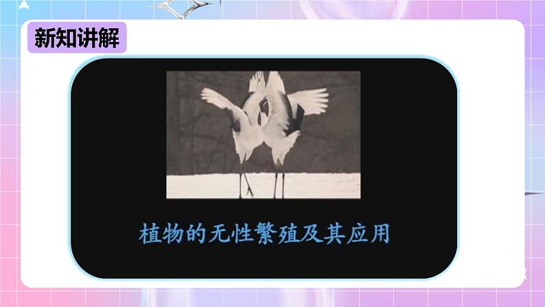 冀少版生物八下6.1.1.2 被子植物的生殖《无性生殖》 课件第4页