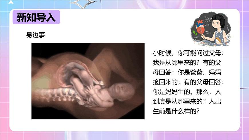 冀少版生物八下6.1.3《人的生殖和胚胎發(fā)育》課件第3頁