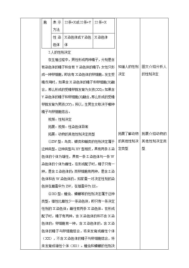 冀少版生物八下6.2.1.3遗传《人的性别决定》教案第3页