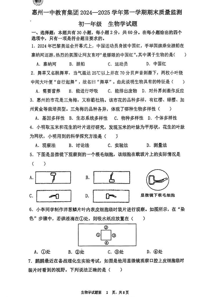 广东省惠州市第一中学教育集团2024-2025学年七年级上学期期末考试生物试题第1页