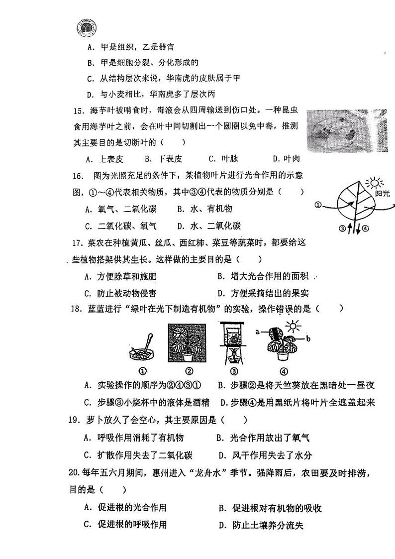 广东省惠州市第一中学教育集团2024-2025学年七年级上学期期末考试生物试题第3页
