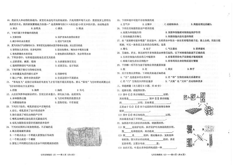 广东省汕头市潮南区司马公办学校2024-2025学年七年级上学期1月期末生物试题第2页