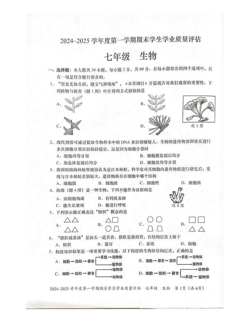 广东省汕头市龙湖区2024-2025学年七年级上学期期末学生学业质量评估生物试卷第1页