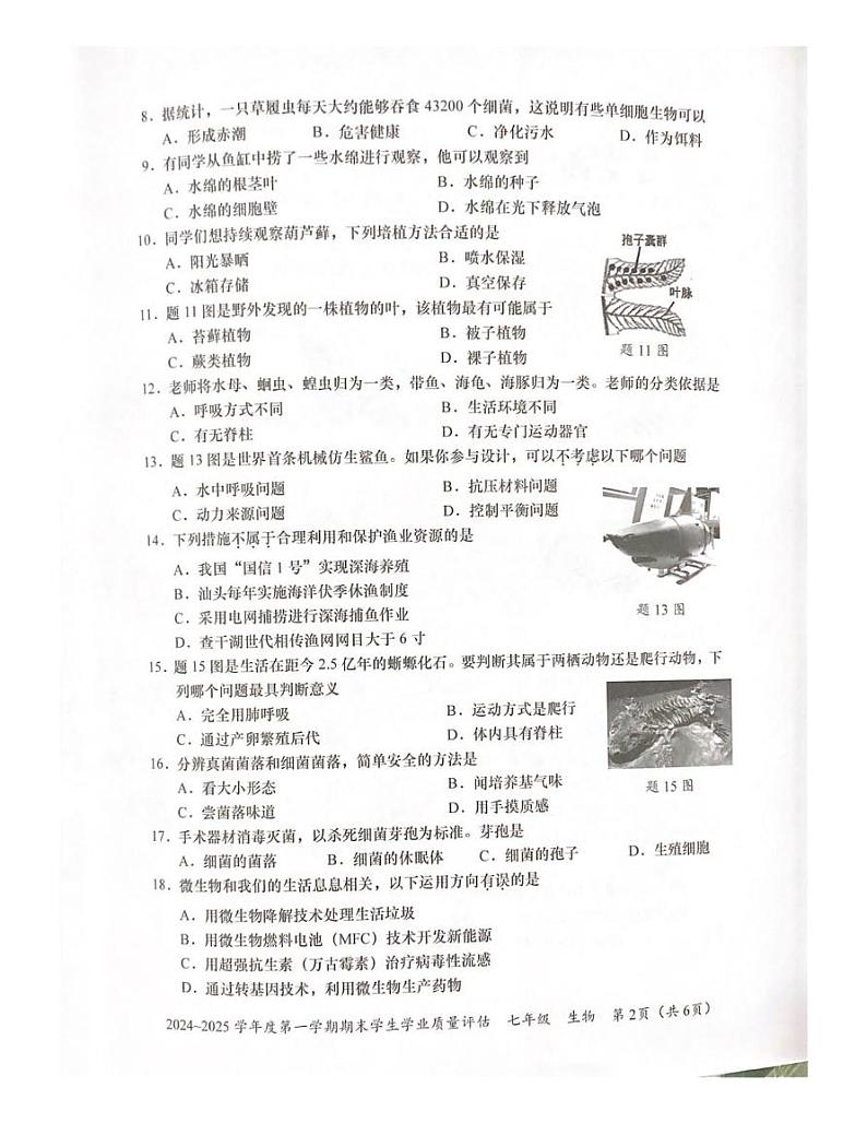 广东省汕头市龙湖区2024-2025学年七年级上学期期末学生学业质量评估生物试卷第2页