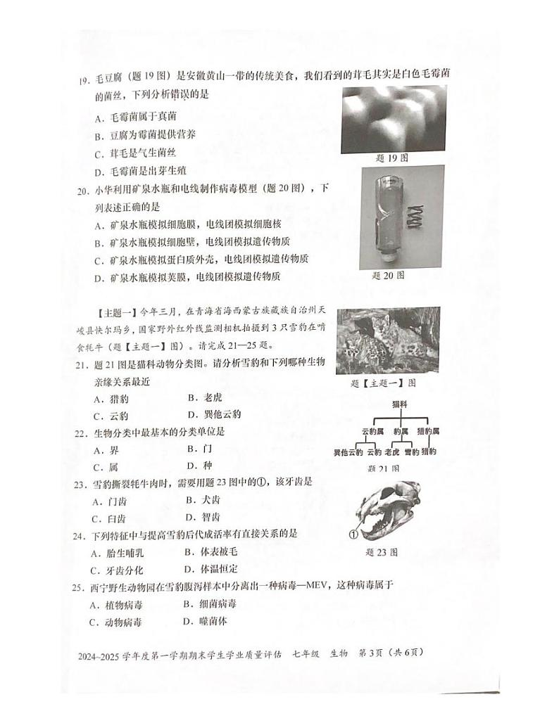 广东省汕头市龙湖区2024-2025学年七年级上学期期末学生学业质量评估生物试卷第3页