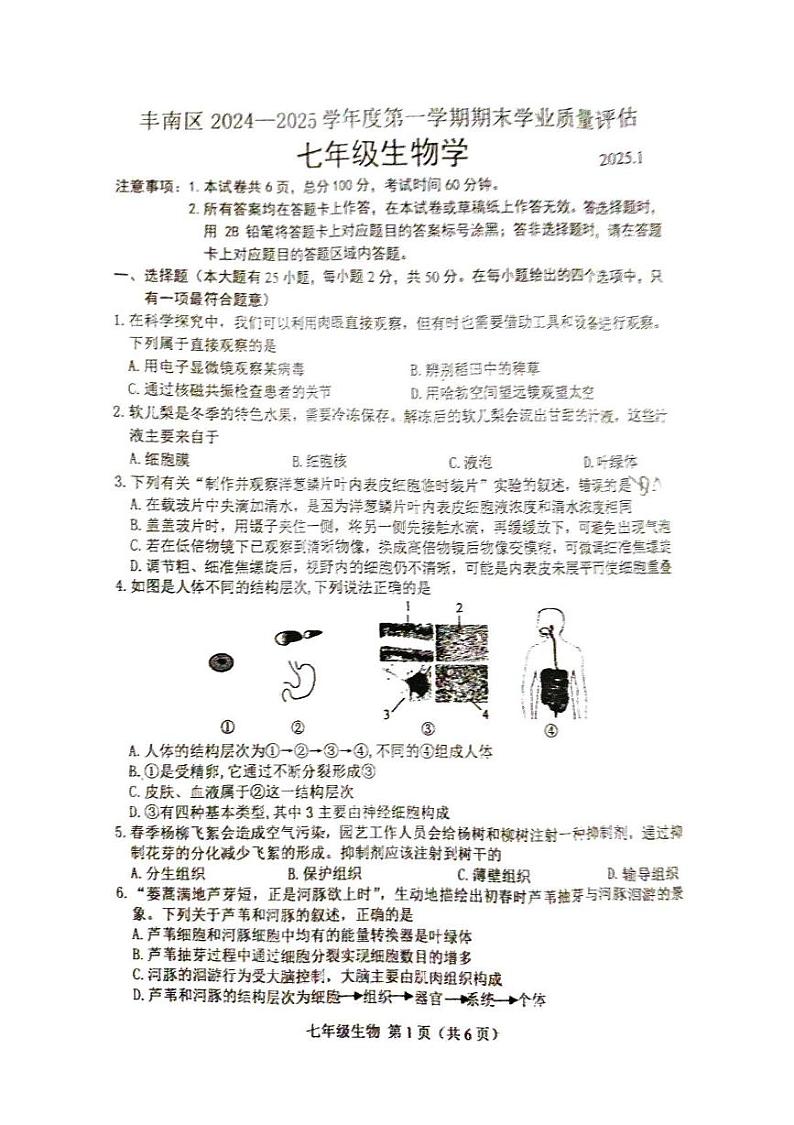 河北省唐山市丰南区2024-2025学年七年级上学期期末考试生物测试卷第1页