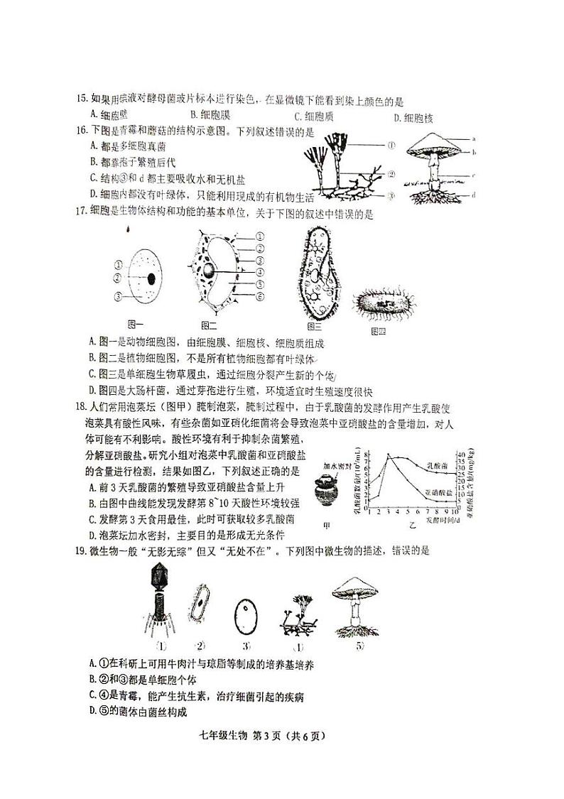 河北省唐山市丰南区2024-2025学年七年级上学期期末考试生物测试卷第3页