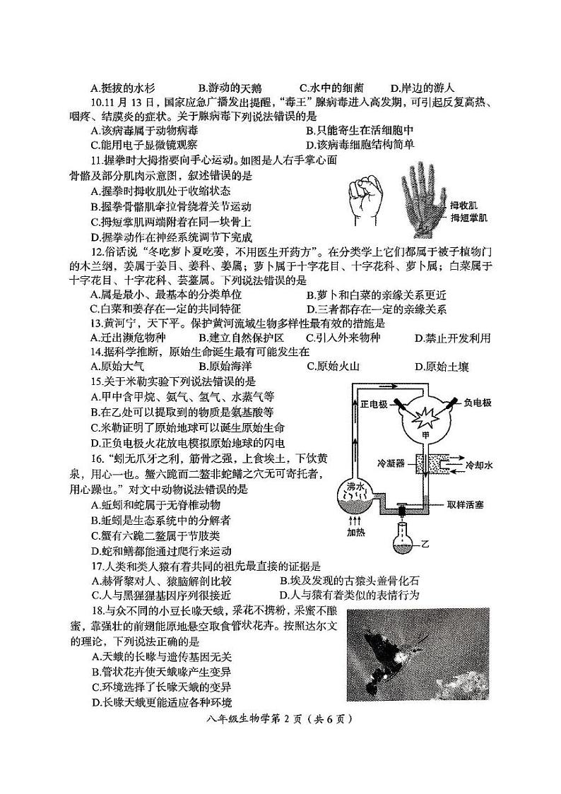 河南省洛阳市2024-2025学年八年级上学期期末考试生物学试卷第2页