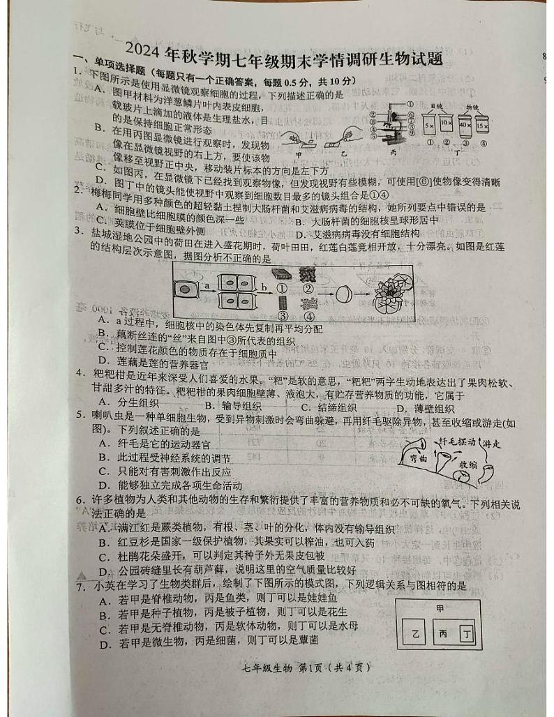 江苏省盐城市阜宁县2024-2025学年七年级上学期1月期末生物试题第1页