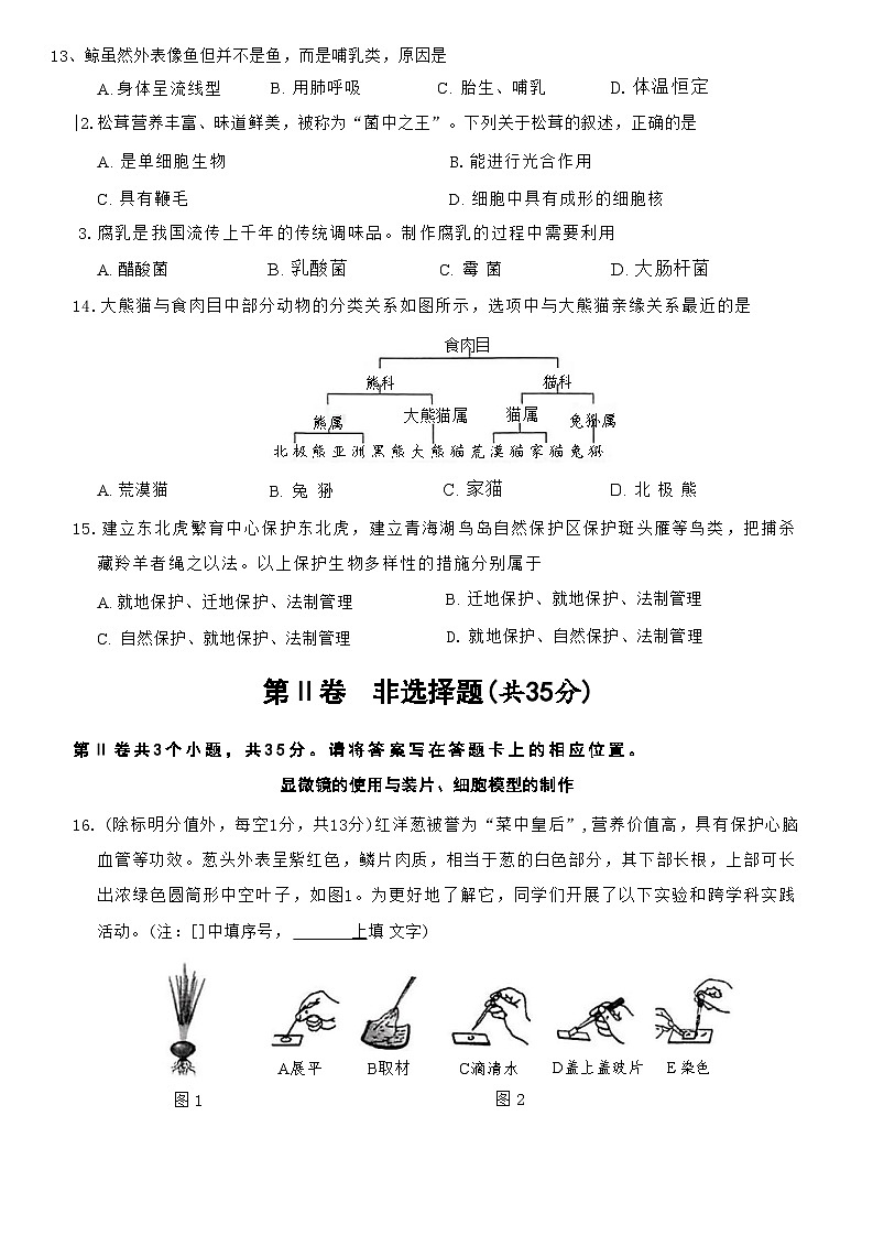 人教版七年级上册生物期末练习试卷第3页