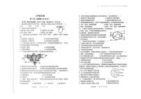 山东省济南市济阳区2024-2025学年八年级上学期期中生物试卷