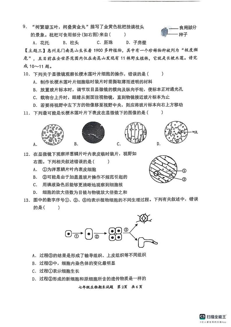 广东省惠州市惠阳区2024-2025学年七年级上学期1月期末生物试题第2页
