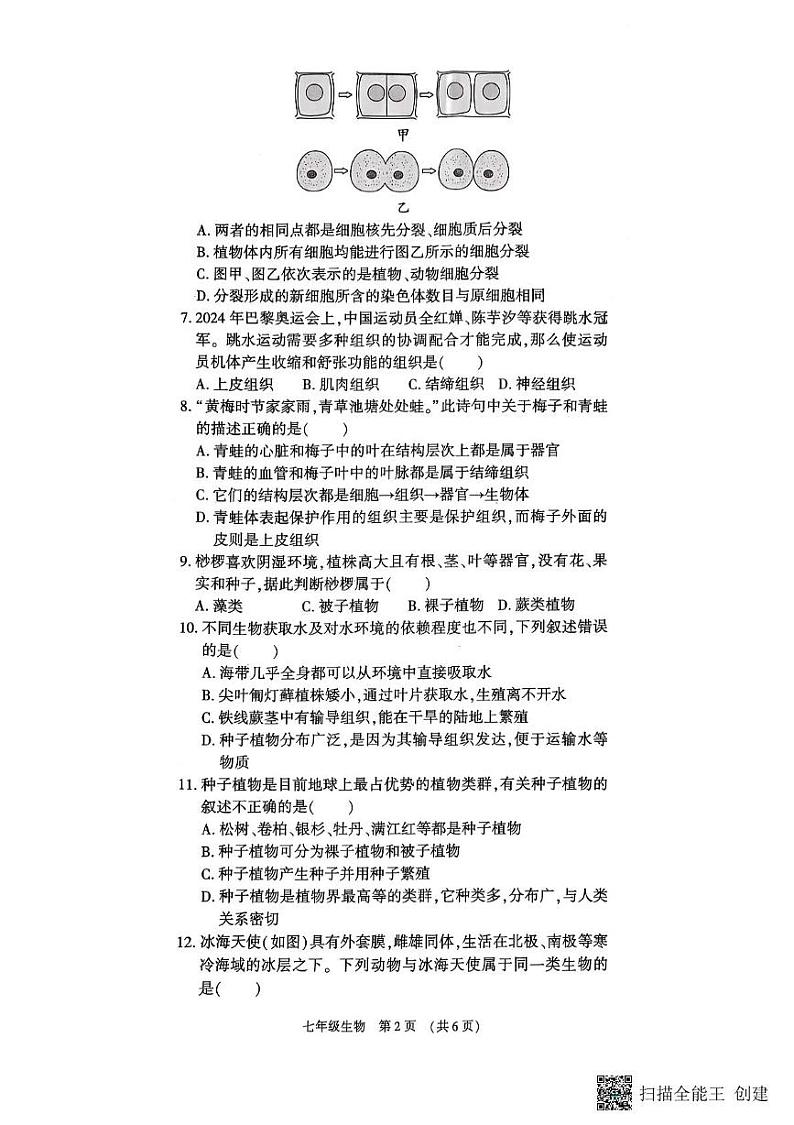 河南省漯河市召陵区2024-2025学年七年级上学期1月期末生物试题第2页