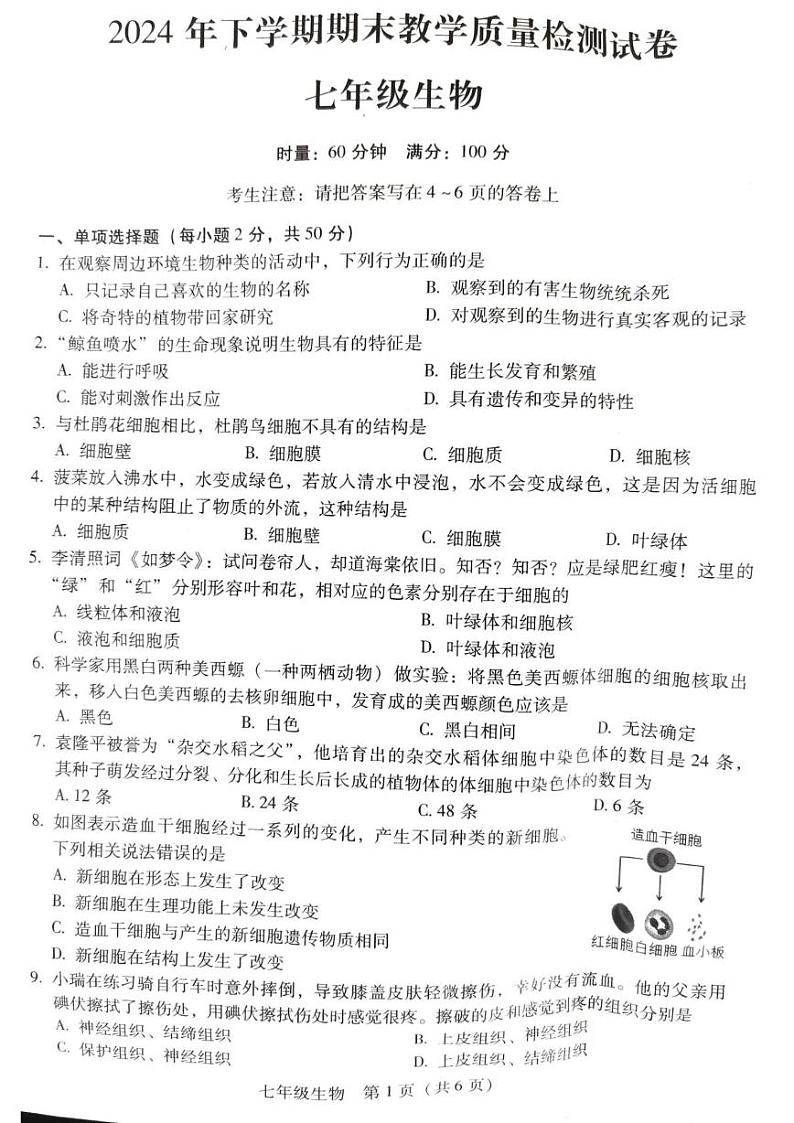 湖南省衡南县冠市联合学校2024-2025学年七年级上学期期末教学质量检测生物试卷第1页