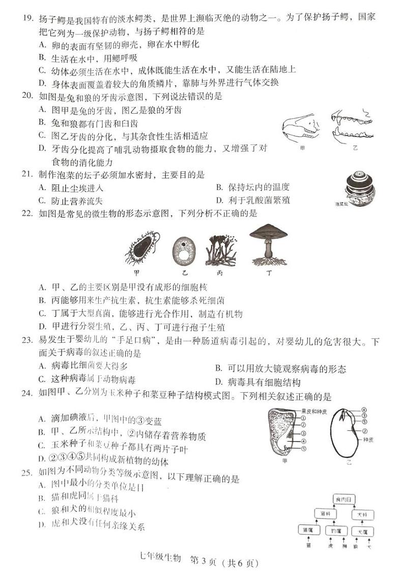 湖南省衡南县冠市联合学校2024-2025学年七年级上学期期末教学质量检测生物试卷第3页