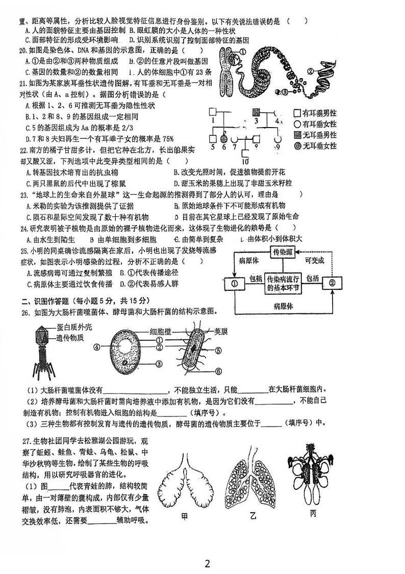 湖南省长沙市开福区青竹湖湘一外国语学校2024-2025学年八年级上学期1月期末生物试题第2页