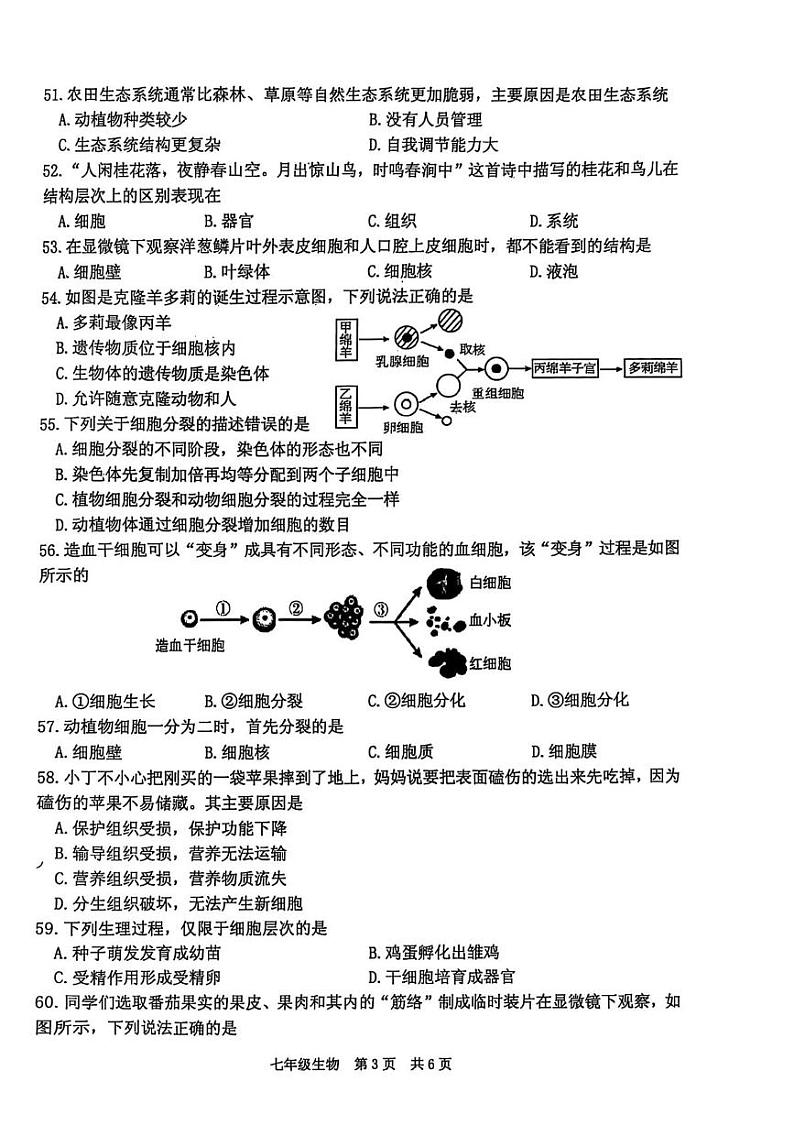 江苏省泰州市姜堰区2024-2025学年七年级上学期1月期末生物试题第3页