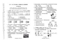 辽宁大连甘井子区等2024—2025学年七年级上学期七年级生物期末考试试题