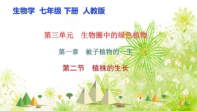 【核心素养】人教版初中生物七年级下册3.1.2《植株的生长》课件第1页