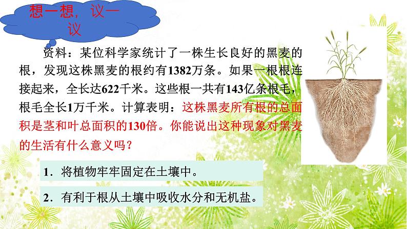 【核心素养】人教版初中生物七年级下册3.1.2《植株的生长》课件第4页