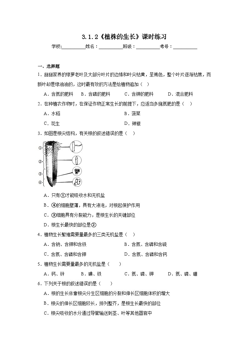 3.1.2《植株的生长》课时练习第1页