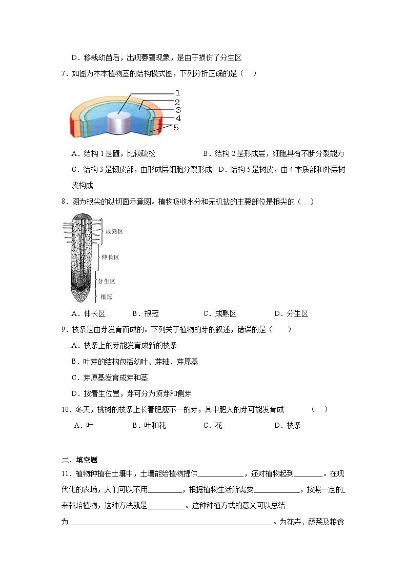 3.1.2《植株的生长》课时练习第2页