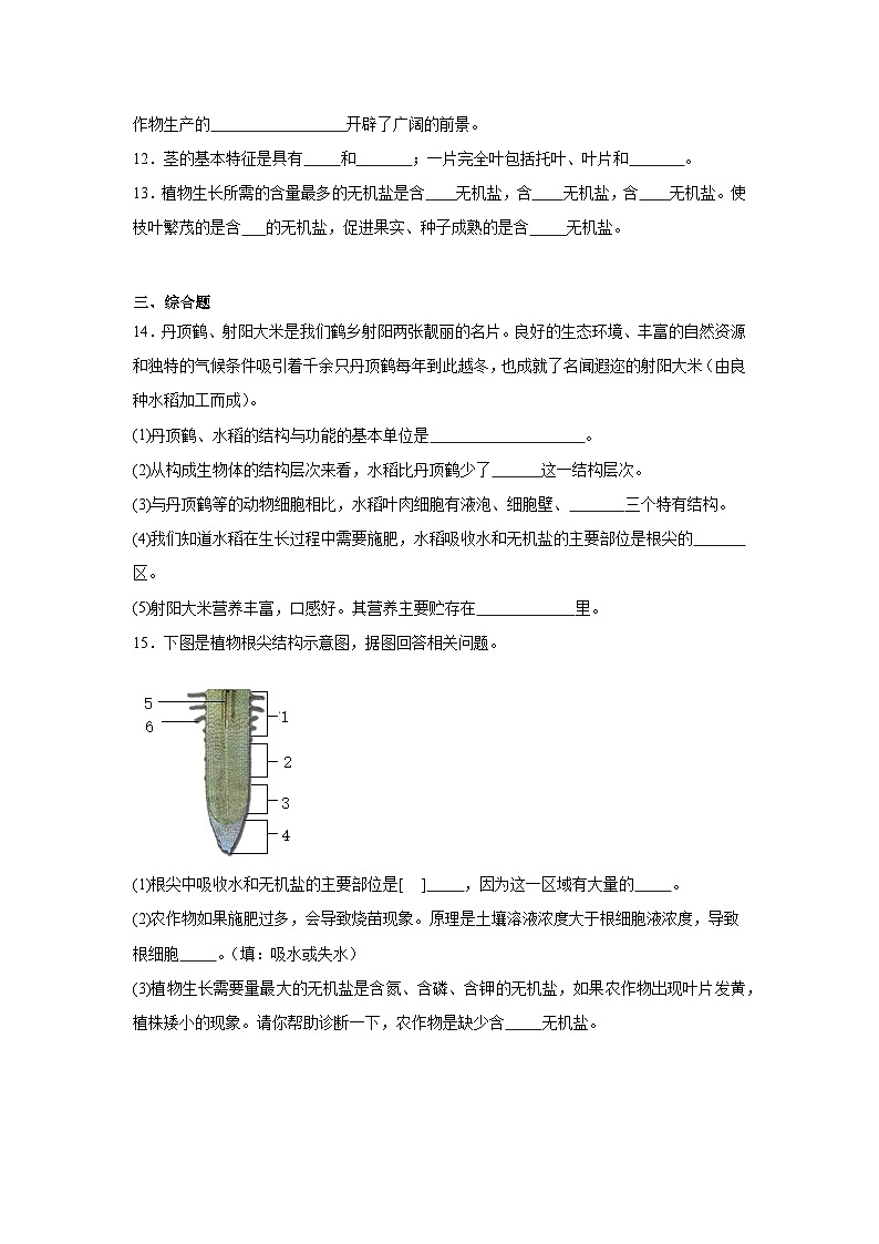 3.1.2《植株的生长》课时练习第3页