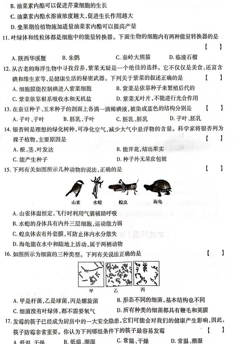 河南省商丘市名校协作2024—2025学年七年级生物学上学期期末素质评估卷第3页