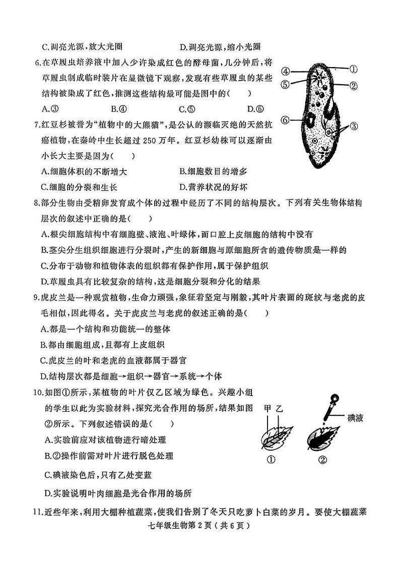 河南省驻马店市驿城区2024-2025学年七年级上学期期末考试生物试题第2页