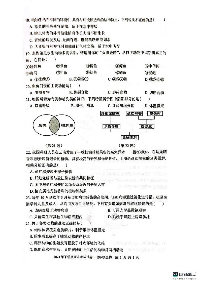 湖南省邵阳市邵东市2024-2025学年七年级上学期1月期末生物试题第3页