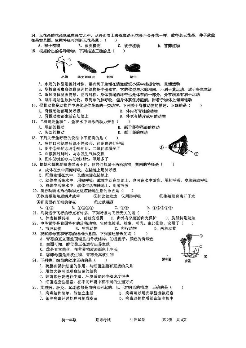 湖南省湘西州溶江中学2024-2025学年七年级上学期期末考试生物试卷第2页